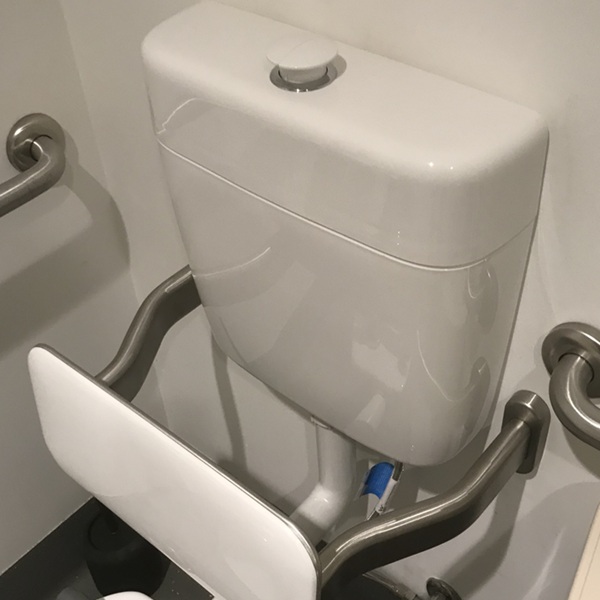 plumbing service toilet